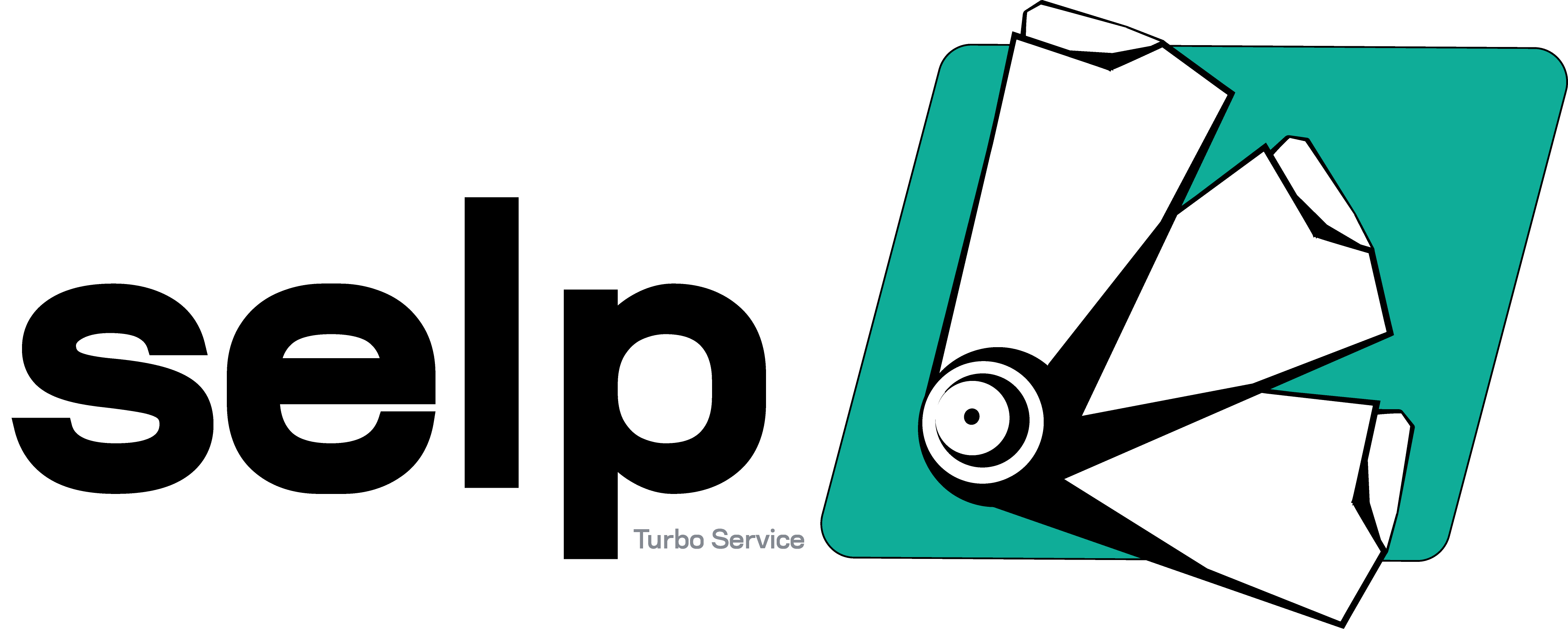 selp Turbo Service